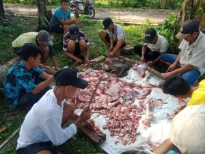 Virus Corona Berakhir, Warga Gunung Agung Syukuran Potong Kerbau