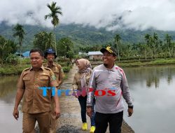 Pastikan MT 1 Berjalan Lancar, Ketua DPRD Lebong Sambangi Persawahan Warga