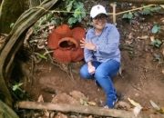 Ketua DPRD Kabupaten Bengkulu Utara Ajak Masyarakat Jaga Kelestarian Bunga Rafflesia di Destinasi Wisata Palak Siring