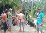 Tumbuhkan Semangat Gotong Royong, Warga Desa Aur Gading Bersatu untuk Meningkatkan Infrastruktur Lokal