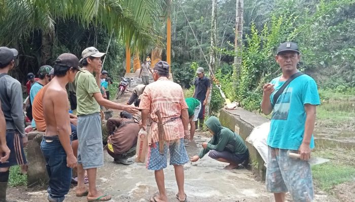 Tumbuhkan Semangat Gotong Royong, Warga Desa Aur Gading Bersatu untuk Meningkatkan Infrastruktur Lokal