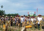 Kapolda Bengkulu Gelar Panen Raya Jagung Serentak di Bengkulu, Dukung Swasembada Pangan Tahun 2025