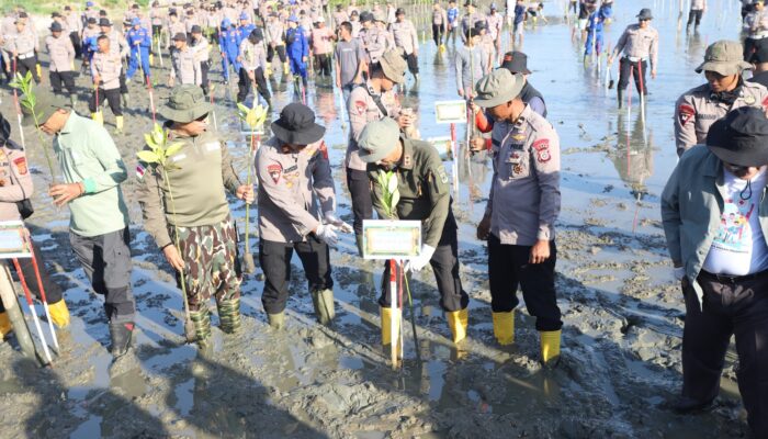 Green Policing Polda Aceh, Tanam 10 Ribu Mangrove untuk Perkuat Ketahanan Ekologi dan Ekonomi Desa Pesisir