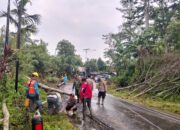 Pohon Tumbang Akibat Hujan dan Angin Kencang, Polsek Lebong Selatan Sigap Amankan Jalan.
