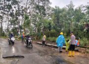 Pohon Tumbang Akibat Hujan dan Angin Kencang, Polsek Lebong Selatan Sigap Amankan Jalan.