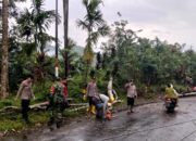 Pohon Tumbang Akibat Hujan dan Angin Kencang, Polsek Lebong Selatan Sigap Amankan Jalan.