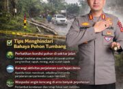 Kapolres Lebong Imbau Pengendara Tingkatkan Kewaspadaan Terkait Pohon Tumbang.