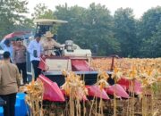 Panen Raya di Tuban, Presiden Prabowo Apresiasi Peran Polri Wujudkan Ketahanan Pangan Nasional