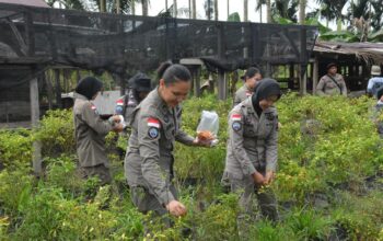 Ops Damai Cartenz Berbagi Kasih, Hadirkan Bantuan dan Pelayanan Kesehatan bagi Warga Pelosok Timika