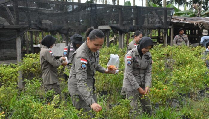 Ops Damai Cartenz Berbagi Kasih, Hadirkan Bantuan dan Pelayanan Kesehatan bagi Warga Pelosok Timika