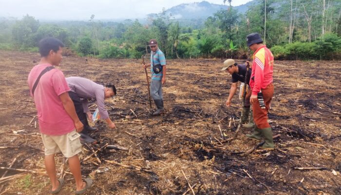 Dukung Ketahanan Pangan Nasional, Bhabinkamtibmas Polsek Lebong Atas Kawal Penanaman Jagung 1 Hektare