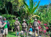 Menembus Medan Puncak Jaya, Patroli Humanis Satgas Damai Cartenz Hadirkan Rasa Aman bagi Warga