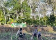 Pendampingan Jagung Warga, Wujud Dukungan Ketahanan Pangan