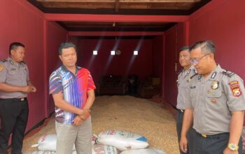 Panen Jagung Sukses, Polres Lebong Terus Dampingi Petani
