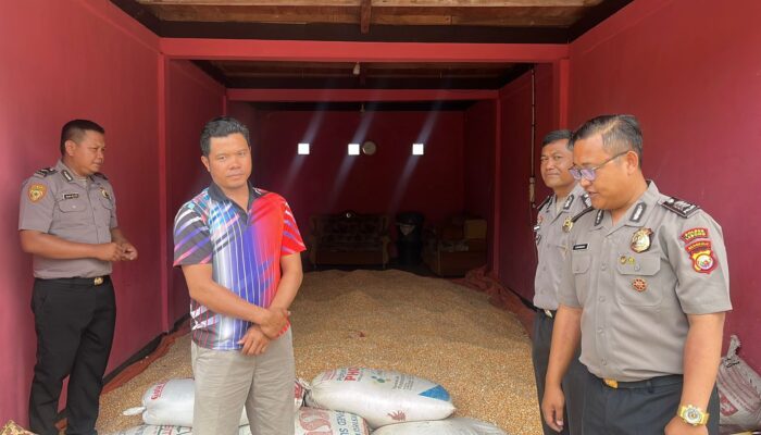 Panen Jagung Sukses, Polres Lebong Terus Dampingi Petani