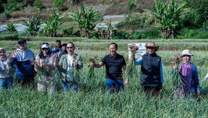 Satgas Pangan Polri Perkuat Swasembada Bawang Putih, Lahan Tanam di Sembalun Capai 534 Hektare