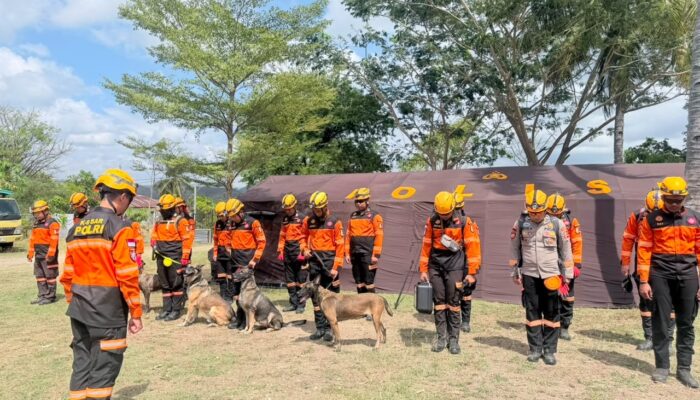 Hari Ke-6 Pascagempa, Polri Terus Bergerak: Brimob dan Bantuan Logistik Konsisten Dikirim ke NTT