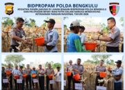 Polda Bengkulu Panen 4 Ton Jagung dan Tebar 3.000 Benih Ikan Patin, Dukung Ketahanan Pangan