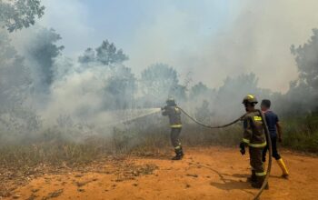Respons Cepat Personel Dit Samapta Polda Bengkulu, Kebakaran Lahan Langsung Ditangani