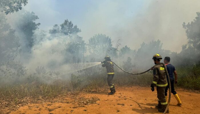 Respons Cepat Personel Dit Samapta Polda Bengkulu, Kebakaran Lahan Langsung Ditangani