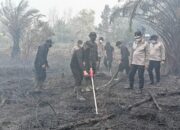 Polda Kalteng Optimalkan Serbuk Tepung Singkong “Hertindo AF31”, Untuk Padamkan Bara di Lahan Gambut