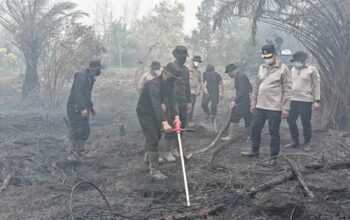 Polda Kalteng Optimalkan Serbuk Tepung Singkong “Hertindo AF31”, Untuk Padamkan Bara di Lahan Gambut