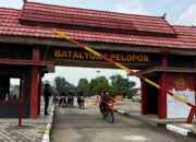 Pantau Karhutla, Satbrimob Polda Jambi Bersama Instansi Terkait Patroli Kawasan Konservasi Gajah di Tebo