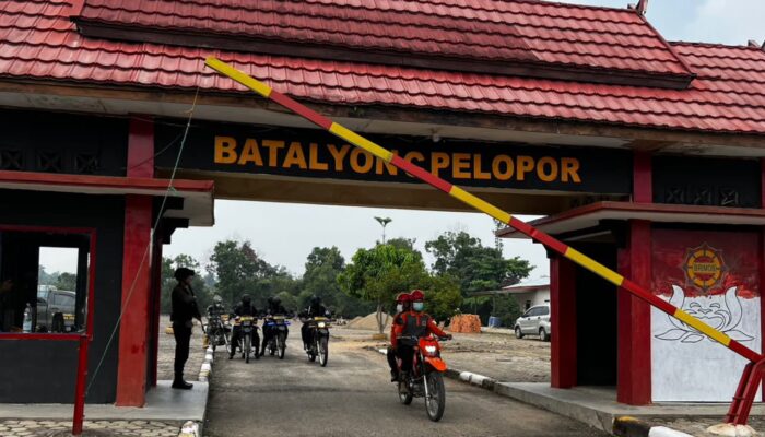 Pantau Karhutla, Satbrimob Polda Jambi Bersama Instansi Terkait Patroli Kawasan Konservasi Gajah di Tebo