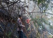POLSEK RIMBO PENGADANG BERSAMA INSTANSI TERKAIT TANGANI KEBAKARAN LAHAN DI DESA TALANG RATAU