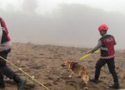 Unit Polsatwa Ditsamapta Polda Sumbar Turunkan K9 Spesifikasi SAR Telusuri Jalur Air Bah