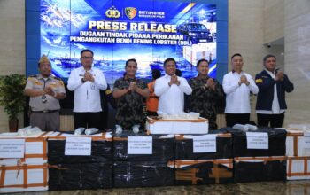 Polri Ungkap Jaringan Penyelundupan Baby Lobster Lintas Negara, Dua Pelaku Ditangkap