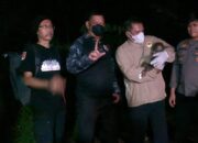 Polisi Selamatkan Induk dan Anak Orang Utan Terdampak Karhutla di Kalimantan Tengah