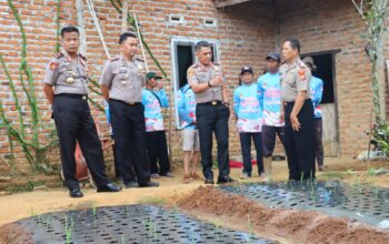 Dukung Swasembada Bawang Putih, Kapolda Bengkulu Cek Demplot Varietas Sangga Sembalun di Lebong