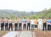 Perkuat Green Policing dan Swasembada Pangan, Kapolda Bengkulu Tinjau Demplot Bawang Putih dan Tanam Pohon di Bengkulu Tengah