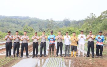 Perkuat Green Policing dan Swasembada Pangan, Kapolda Bengkulu Tinjau Demplot Bawang Putih dan Tanam Pohon di Bengkulu Tengah
