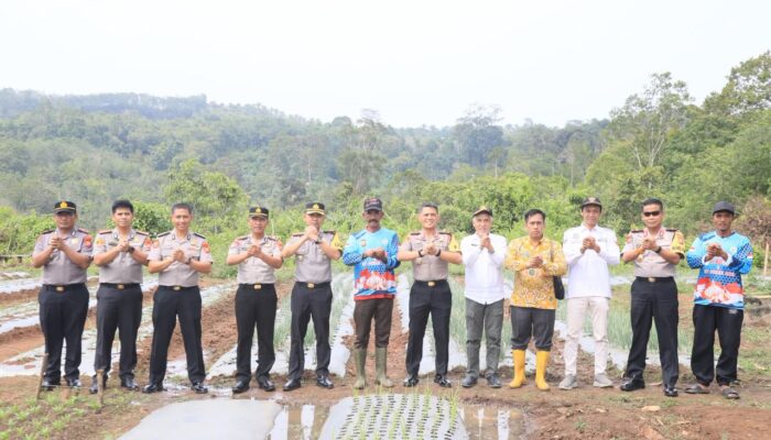 Perkuat Green Policing dan Swasembada Pangan, Kapolda Bengkulu Tinjau Demplot Bawang Putih dan Tanam Pohon di Bengkulu Tengah