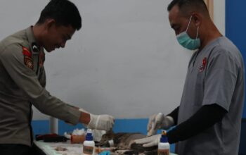 Polri Sterilisasi Puluhan Kucing, Dukung Pengendalian Populasi Hewan secara Bertanggung Jawab
